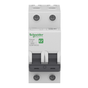 Disjuntor Mini Bipolar 32A 400VCA C 3KA EZ9F33232 Schneider