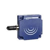 Sensor Indutivo Plástico 60 mm XS8D1A1PAM12 Telemecanique