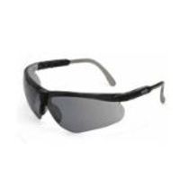 Oculos Seg Lt Cz Ar Pigeon MSA