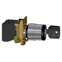 Comutador Com Chave 3 Posições Cromado 22mm 45 Graus 2na XB4BG33 Schneider