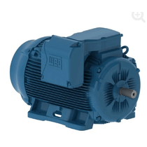 Motor Elétrico Trifásico 4 Pólos 220/380/440V 250CV 1800 Rpm 315S/M B3D Classe F 11277521 WEG