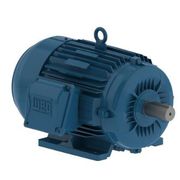 Motor Elétrico Trifásico 4 Pólos 220/380/440V 6CV 1745 RPM 112m B3d WFF2 11747465 WEG