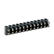 Conector Múltiplo Polipropileno Preto 12 Bornes 400 V 41 A 6 MM2 - 34213 - CEMAR