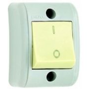 Interruptor Predial Sobrepor 1 Tecla Dupla Simples Bipolar Marfim 250V 10A Com Placa E Caixa Silentoque 2505 Pial Legrand