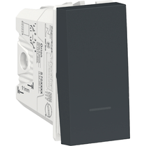 Módulo Interruptor Bipolar Paralelo 10A 250V 1M Gr Schneider