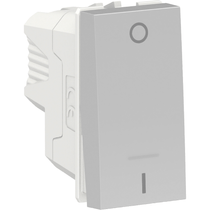 Módulo Interruptor Predial 1 Tecla Simples Embutir Bipolar 250V 10A Aluminio S70110274 Schneider