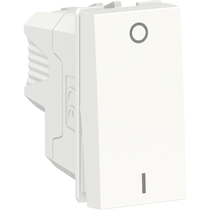 Módulo Interruptor Bipolar Simples 10Ax 250V Orion S70110204 Schneider