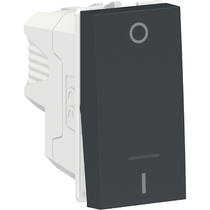 Módulo Interruptor Bipolar Simples 10Ax 250V Orion S70110294 Schneider