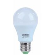 Lâmpada LED A60 E27 6500K 12V 10W LED 10.12 Foxlux