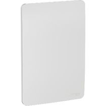 Placa Cega 4X2 Alum Orion Schneider