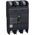 CPB100604_web