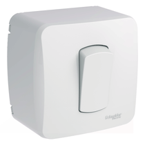 Cx Sobrepor Dxmlz 1 Interruptor Paralel 10Ax S3B66300 Schneider