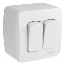 Cx Sobrepor Dxmlz 2 Interruptor Simples 10Ax S3B66110 Schneider