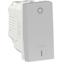 Módulo Interruptor Bipolar Simples 25A 250V 1M Al S70113174 Schneider