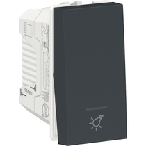 Módulo Pulsador Para Minuteria 10A 250V 1M Gr S70117694 Schneider