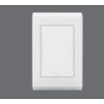 Placa Cega 4 X 2" Branca Refinatto 14106749 WEG