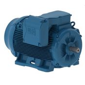Motor Elétrico Trifásico 4 Pólos 220/380/440V 60CV 1800 Rpm 225s/M B3d 11277442 WEG