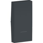 Tecla 1 Módulo Cor Grafite Para Interr Pulsador S71201094 Schneider