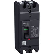 Disjuntor Caixa Moldada Bipolar Térmico/Magnético Fixos 415VCA 20A 5KA Easypact Ezc100H2020 Schneider