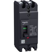 Disjuntor Caixa Moldada Bipolar Termomagnético Fixo 415VCA 50A 5KA EZC100H2050 Schneider