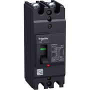Disjuntor Caixa Moldada Bipolar Termomagnético Fixo 415VCA 80A 5KA EZC100H2080 Schneider