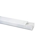 Canaleta 40 x 25 mm sem adesivo 2m Dexson   - DXN10141 - Schneider