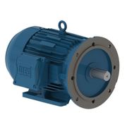 Motor Elétrico Trifásico 4 Pólos 220/380V 12,5CV 1765Rpm 132M B35D Ff 11778319 WEG