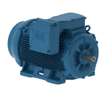 Motor Elétrico Trifásico 2 Pólos 220-380-440V 55Kw 3565Rpm 225S/M B3D 11094219 WEG