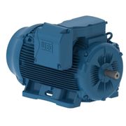 Motor Elétrico Trifásico 6 Pólos 220/380/440V 100CV 1200Rpm 280S/M B3D 11097629 WEG