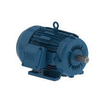 Motor Elétrico Trifásico 6 Pólos 220-380V 2,2Kw 1155Rpm L100L B3D 11417343 WEG