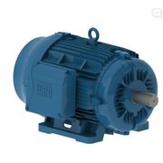 Motor Elétrico Trifásico 6 Pólos 380-660V 40CV 1200Rpm B3D 11426048 WEG