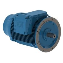 Motor Elétrico Trifásico 2 Pólos 380/660V 40CV 3560Rpm 200M B3D 11799467 WEG