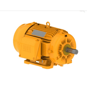 Motor Elétrico Trifásico 6 Pólos 220-380V 1175Rpm 160M B3D 12806925 WEG