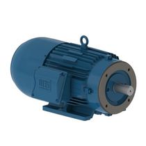 Motor Elétrico Trifásico 4 Pólos 220/380/440V 5CV 1725Rpm 100L B34D C/Freio W22M* W22MOTOFREIO WEG