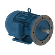 Motor Elétrico Trifásico 4 Pólos 220/380V 0,75CV 1680Rpm 71 B35D WFF2 11737342 WEG