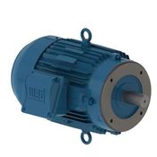 Motor Elétrico Trifásico 2 Pólos 220/380/440V 3CV L90S B14D C 12219193 WEG