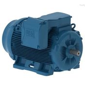 Motor Elétrico Trifásico 6 Pólos 380/660V 125CV 1185Rpm 280S/M B3D Cl F 11224329 WEG