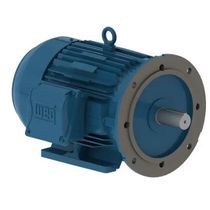 Motor Elétrico Trifásico 6 Pólos 220/380/440V 5CV 132S B35D Ff Pes 12097609 WEG