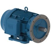 Motor Elétrico Trifásico 4 Pólos 220/380V 20CV 1800Rpm 160M B35D Ff Cl F 12443872 WEG