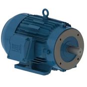 Motor Elétrico Trifásico 6 Pólos 220/380V 3CV 1200Rpm L100L B34D C Cl F 12218938 WEG