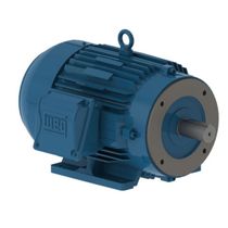 Motor Elétrico Trifásico 4 Pólos 220/380V 0,75CV 1680Rpm 71 B34D C 12046071 WEG