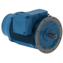 Motor Elétrico Trifásico 8 Pólos 380/660V 30CV 885Rpm 225S/M B5D Ff 12218434 WEG