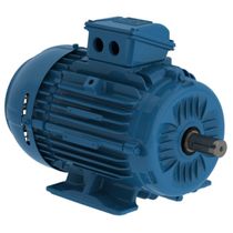 Motor Elétrico Trifásico 2 Pólos 220/380V 3CV 3470Rpm L90S B3T 14556198 WEG