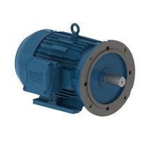 Motor Elétrico Trifásico 4 Pólos 380/660V 12,5CV 1800Rpm 132M B35D Ff 11789873 WEG