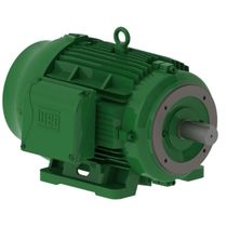 Motor Monofásico 4 Pólos 220/380V 40CV 1780Rpm 200M B34D C 13061727 WEG