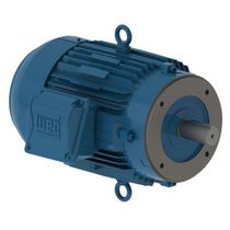 Motor Elétrico Trifásico 8 Pólos 220/380V 1,5CV 100L B14D C-Din 11909199 WEG