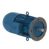 Motor Elétrico Trifásico 4 Pólos 220/380/440V 5CV 1800Rpm 112M B5D Ff 13010560 WEG