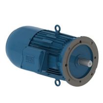 Motor Elétrico Trifásico 4 Pólos 220/380/440V 5CV 1800Rpm 112M B5D Ff 13010560 WEG