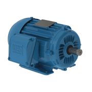 Motor Elétrico Trifásico 4 Pólos 220/380V 0,5CV 71 B3D 12115701 WEG