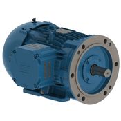 Motor Elétrico Trifásico 2 Pólos 220/380V 15CV 3525Rpm 132S/M B35D Ir2 Ff 135117* 13511711 WEG